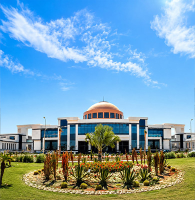 Zewel University